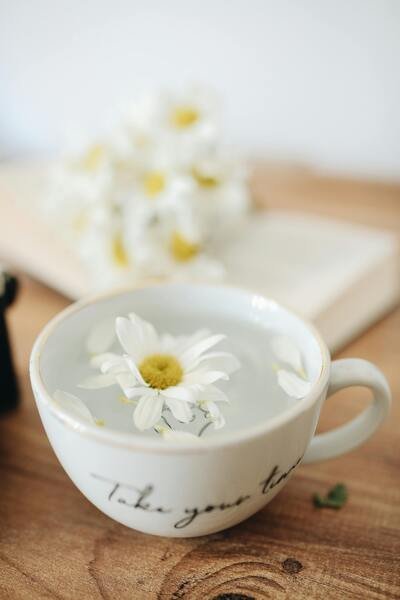 Gros plan d'une tasse de tisane avec une fleur de camomille blanche flottant à la surface, pour un moment de calme et de détente.