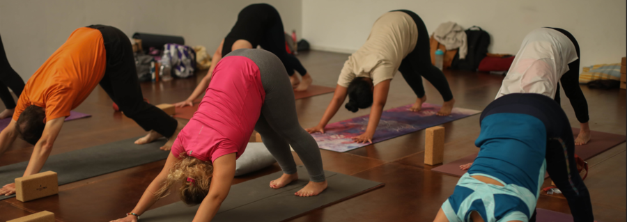Un groupe d'élèves en cours de yoga pratiquant la posture du chien tête en bas.