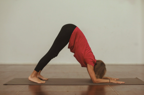 Une femme pratiquant la posture du dauphin, renforçant les épaules et le haut du corps.